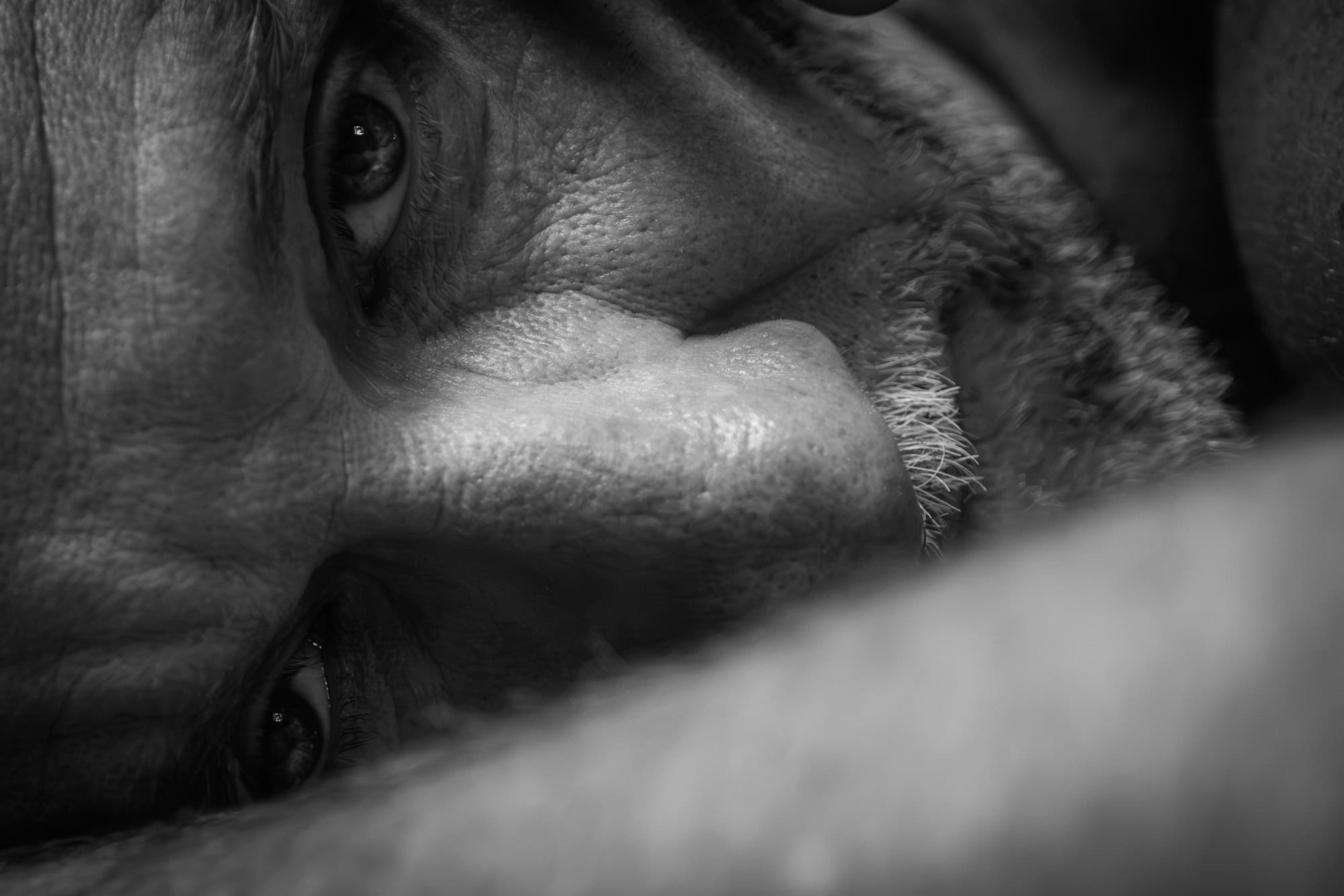 nu artistique masculin en noir et blanc, portrait intimiste photographié par une femme. Gros plan sur visage homme couché sur le sol